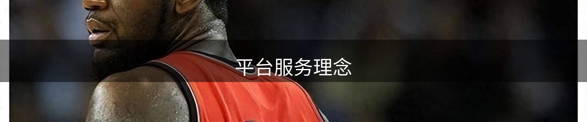 平台服务理念